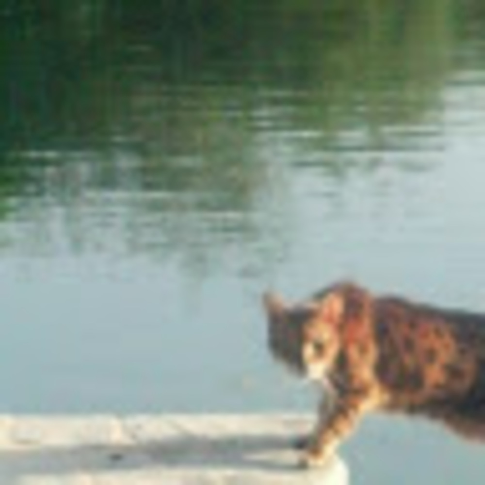 Meet your Posher, Kathleen